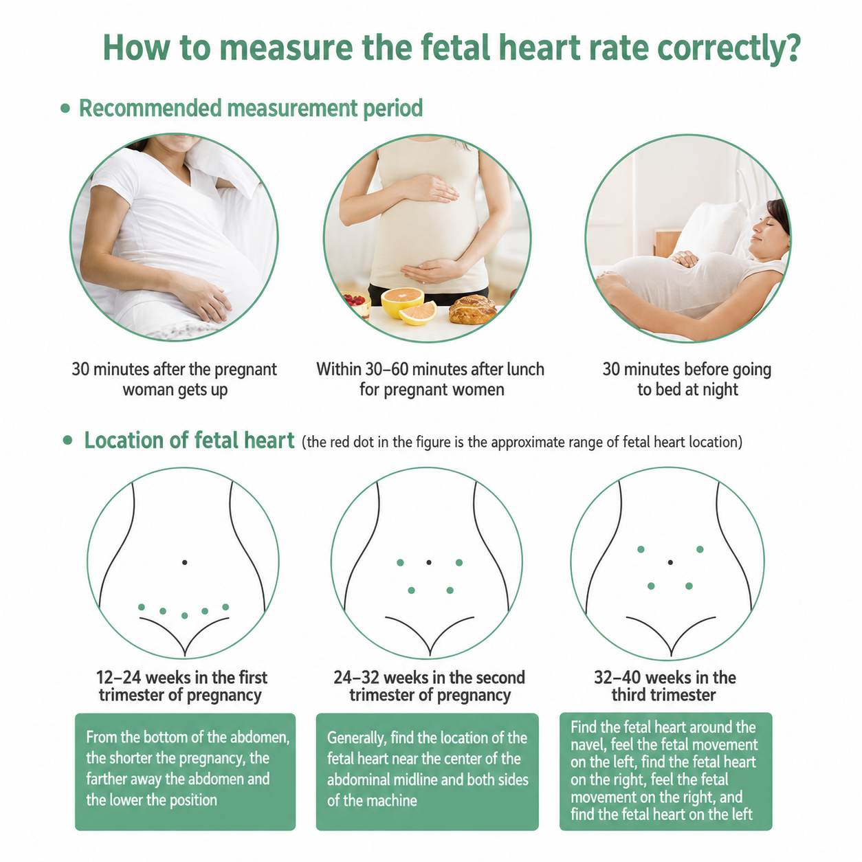 Fetal Doppler - Hear Your Baby’s Heartbeat