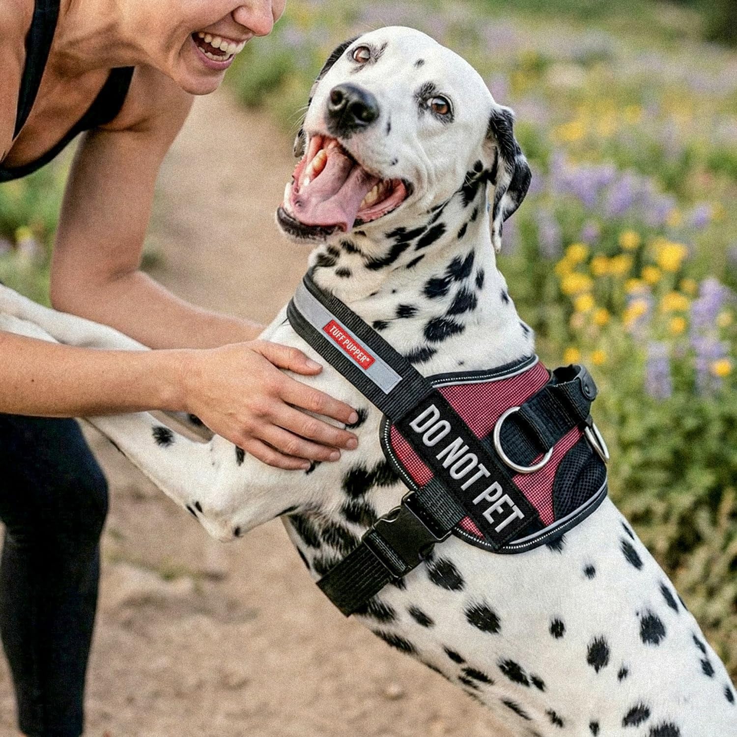 Fast Fit No Pull Dog Harness, Escape Proof, Reflective, Grey