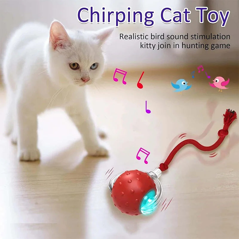 Tiny Fetch Dog Toy Pet Interactive Automatic Teasing Ball Cat Dog Self-Soothing Toy Smart Rolling Electric Chew Proof Dogs Toy