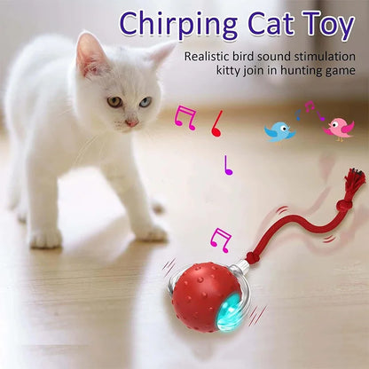 Tiny Fetch Dog Toy Pet Interactive Automatic Teasing Ball Cat Dog Self-Soothing Toy Smart Rolling Electric Chew Proof Dogs Toy