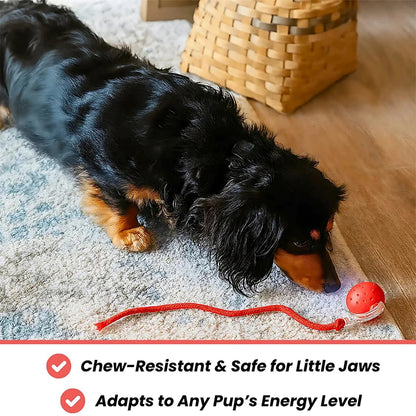 Tiny Fetch Dog Toy Pet Interactive Automatic Teasing Ball Cat Dog Self-Soothing Toy Smart Rolling Electric Chew Proof Dogs Toy
