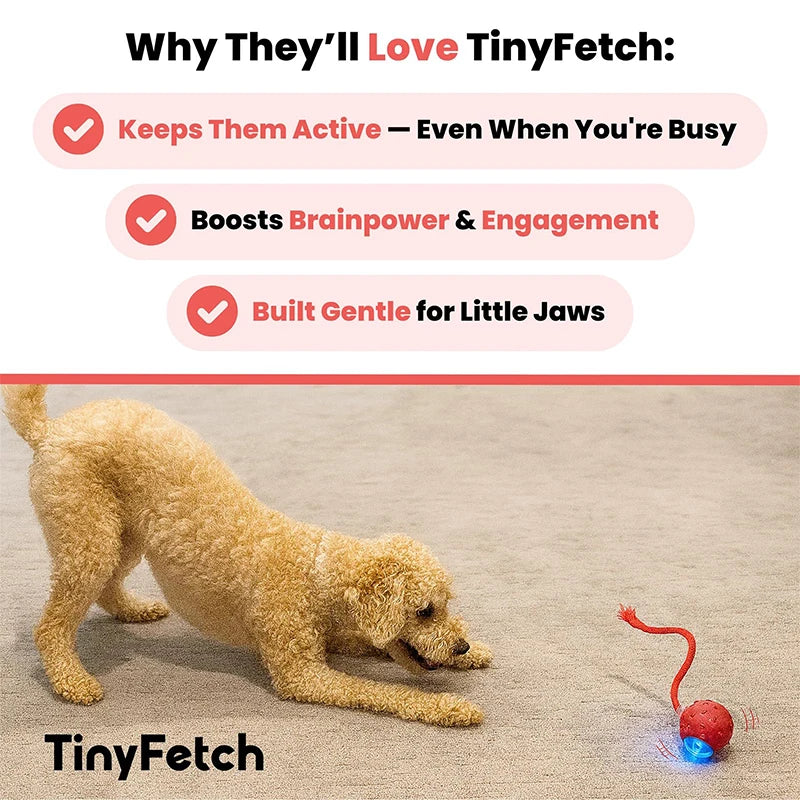 Tiny Fetch Dog Toy Pet Interactive Automatic Teasing Ball Cat Dog Self-Soothing Toy Smart Rolling Electric Chew Proof Dogs Toy