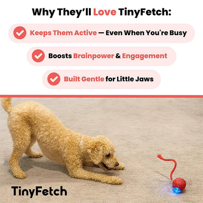 Tiny Fetch Dog Toy Pet Interactive Automatic Teasing Ball Cat Dog Self-Soothing Toy Smart Rolling Electric Chew Proof Dogs Toy