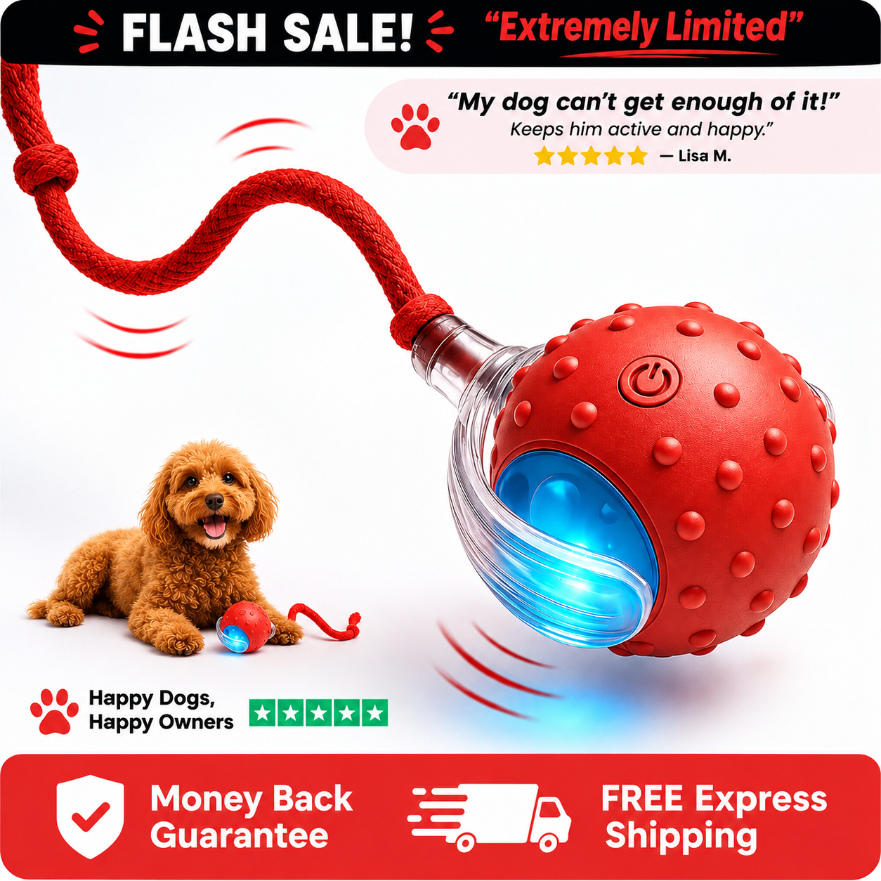 WiggleBall™ Interactive Dog Toy
