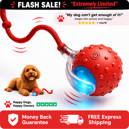 WiggleBall™ Interactive Dog Toy